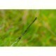 Strună antitangle pentru momitor/coșuleț Guru Feeder Links, Medium, 6.3cm, 3buc/plic