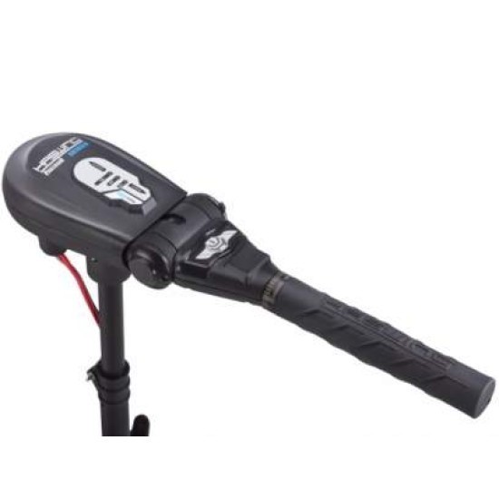 Motor electric Haswing Protruar 1HP 65lbs Brushless