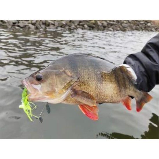 Spinnerbait RTB Dual Blade Spinnerbait 16g, Silver Black Glitter