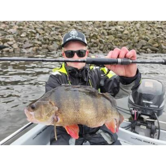 Lanseta RTB Fortezza 2.60m 10.5-35g X-Fast