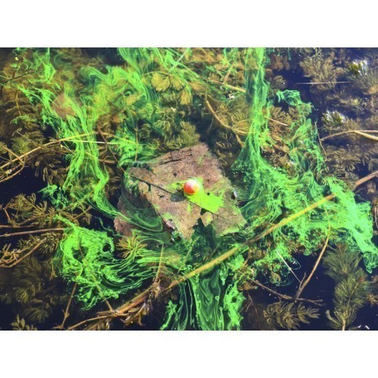 Pop-up CPK 3D Range, 10-14mm, Ananas&N'Butyric, 40g