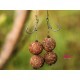 Boilies de cârlig critic echilibrat CPK Flash Stinky Fish, 16-20mm, Mussle Crab, 200g Boilies de cârlig critic echilibrat CPK Flash Stinky Fish, 16-20mm, Mussle Crab, 200g