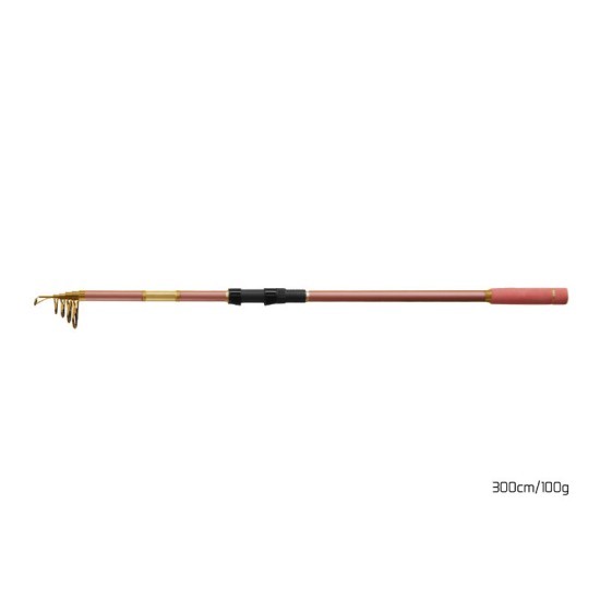 Lansetă telescopică Delphin Queen Tele, 3.00m/100g Lansetă telescopică Delphin Queen Tele, 3.00m/100g