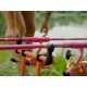 Lansetă Delphin Queen Candy, 3.00m/3.0lbs, 2buc