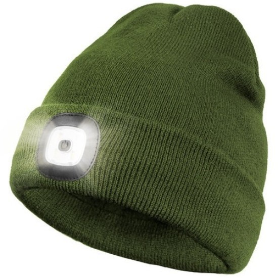 CĂCIULĂ DE IARNĂ DELPHIN RWR LED