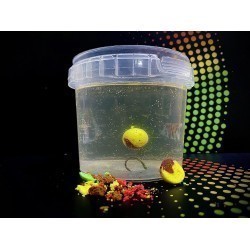 Boilies MG Special Carp 50/50 Double Boom Attract, 15mm, 50g