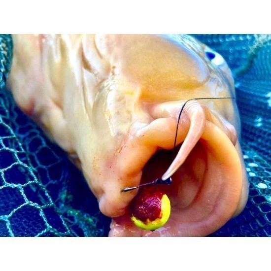 Boilies MG Special Carp 50/50 Double Boom Squid & Căpșună, 15mm, 50g Boilies MG Special Carp 50/50 Double Boom Squid & Căpșună, 15mm, 50g