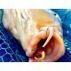 Boilies MG Special Carp 50/50 Double Boom Squid & Căpșună, 15mm, 50g Boilies MG Special Carp 50/50 Double Boom Squid & Căpșună, 15mm, 50g