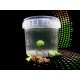 Boilies MG Special Carp 50/50 Double Boom Mix, 15mm, 50g
