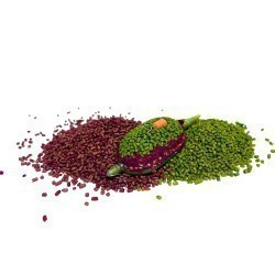 Pelete MG Special Carp Special Method Feeder M-Betain, 2mm, 500g