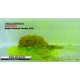 Nadă MG Special Carp Method Feeder LED Fluo, 1kg Nadă MG Special Carp Method Feeder LED Fluo, 1kg