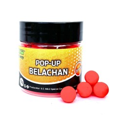Pop-up MG Special Carp Belachan, 8mm, 15g