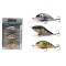 KIT SALMO PERCH PACK