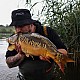 Lansetă Sportex Advancer CS-3 Carp, 3.96m/3.75lbs, 2buc