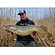 Lansetă Sportex Black Arrow G-4 Musky Baitcast, 2.45m/115-190g, 2buc