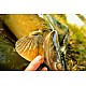 Lansetă Sportex D.N.A CS-3 Distance Carp, 3.96m/3-5oz, 2buc