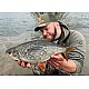 Lansetă Sportex Rapid Feeder RS-2 Medium XS, 3.00m/80-150g, 2buc