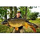 Lansetă Sportex Specimen Carp CS-2, 3.96m/3.50lbs, 2buc