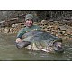 Lansetă Sportex Top Cat CS-2 Spin, 2.50m/60-140g, 2buc