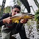 Lansetă Sportex X-Act Trout RS-2, 1.60m/3-21g, 2buc