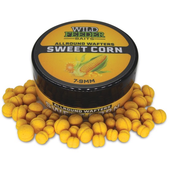 Wafters Wild Feeder Baits – AllRound Wafters Special Bandum, Porumb Dulce, 7 & 9mm Wafters Wild Feeder Baits – AllRound Wafters Special Bandum, Porumb Dulce, 7 & 9mm