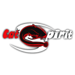 Cat Spirit