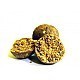 Boilies Select Baits, 16mm, Belachan + Mussel&Belachan, 1kg