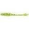 Grub FishUp ARW Worm 2", 026 Flo Chartreuse Green, 5.5cm, 12buc/plic