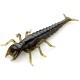 FishUp Diving Bug 5cm #043 Watermelon Brown Black