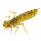 FishUp Dragonfly 2cm #036 Caramel Green & Black FishUp Dragonfly 2cm #036 Caramel Green & Black