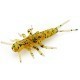 FishUp Stonefly 2.1cm #036 Caramel Green Black FishUp Stonefly 2.1cm #036 Caramel Green Black