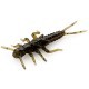 FishUp Stonefly 2.1cm #043 Watermelon Brown Black FishUp Stonefly 2.1cm #043 Watermelon Brown Black