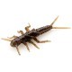 FishUp Stonefly 2.1cm #050 Green Pumpkin Brown Red & Purple FishUp Stonefly 2.1cm #050 Green Pumpkin Brown Red & Purple