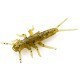 FishUp Stonefly 2.1cm #074 Green Pumpkin Seed FishUp Stonefly 2.1cm #074 Green Pumpkin Seed
