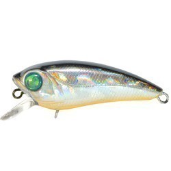 Pontoon21 AlterIdem 901 3.6cm 2g Suspending SR