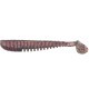 Pontoon21 Awaruna 114 Pontoon21 Awaruna 114