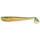 Pontoon21 Awaruna 426 Pontoon21 Awaruna 426