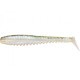 Shad Pontoon21 Awaruna DUN 1303 Shad Pontoon21 Awaruna DUN 1303