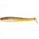Shad Pontoon21 Awaruna DUN 3312