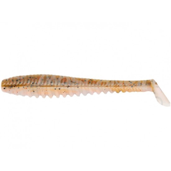 Shad Pontoon21 Awaruna DUN 4226 Shad Pontoon21 Awaruna DUN 4226