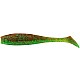 Shad Pontoon21 GAD Footsie 2217/10cm, 4buc/plic