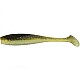 Shad Pontoon21 GAD Footsie 2219/10cm, 4buc/plic
