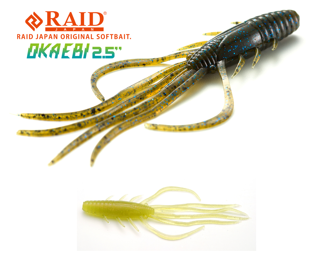 RAID OKA EBI 2.5