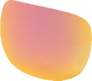 Ochelari polarizați Jaxon X47 SML, Rainbow Yellow Mirror