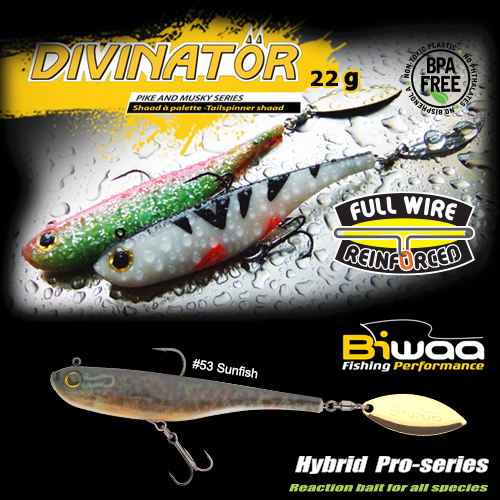 SHAD DIVINATOR JUNIOR 14cm 22gr 53 Sunfish