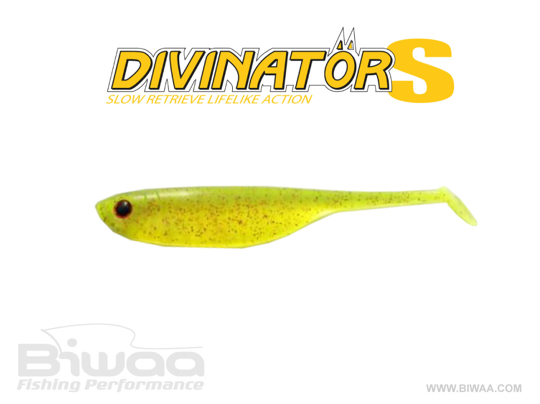 SHAD DIVINATOR S 4
