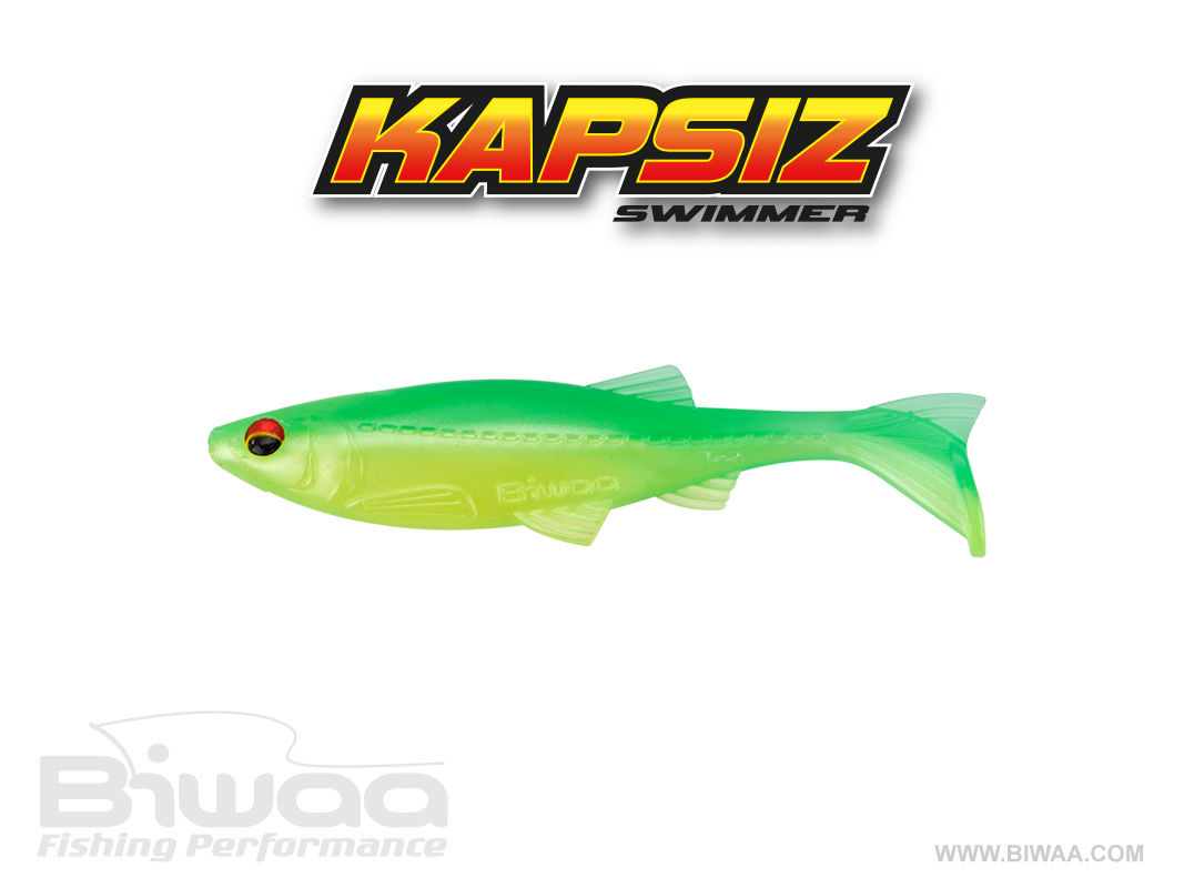 SHAD KAPSIZ 3