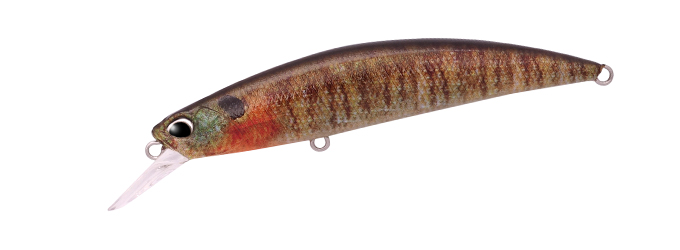 Vobler DUO Spearhead Ryuki 80S, CCC3357 True Gill, 8cm/12g