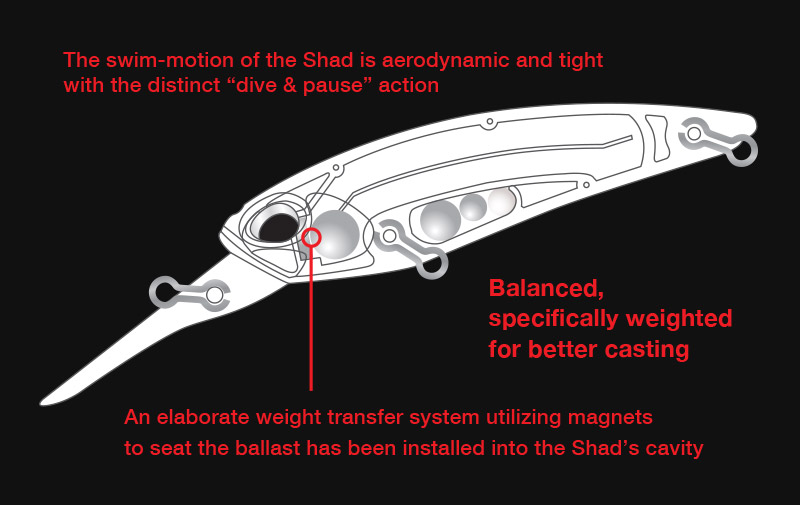 DUO REALIS SHAD 62DR SP 6.2cm 6gr DSH3074 HS Black Gold