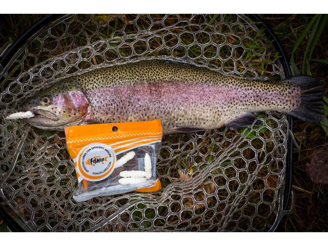 Larve FishUp Trout Series Pupa Cheese, Culoare 112 Hot Pink, 2.2cm, 12buc/plic